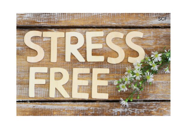 Stress Free Seniors