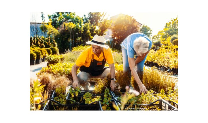 Hobbies For Seniors, gardening